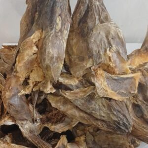 Stockfish head with ear