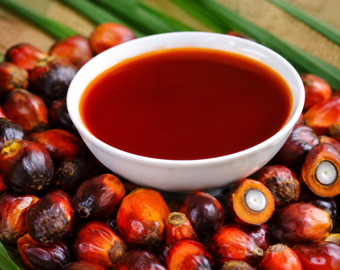 Palm oil