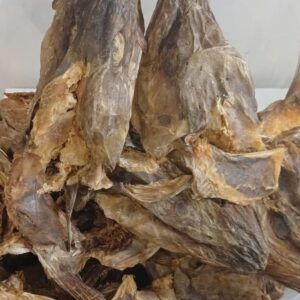 Stockfish head with ears