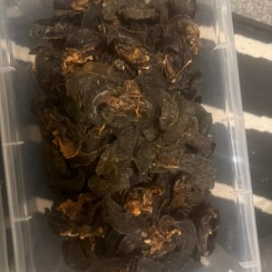 Dried bush snail 12 pieces